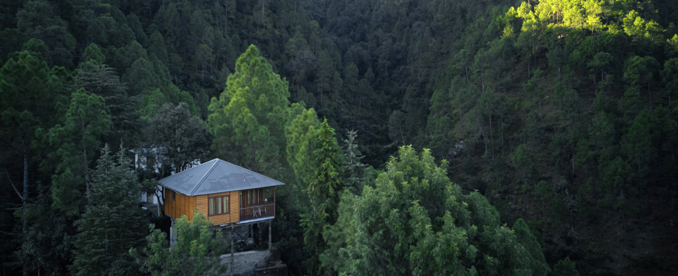 signature experience